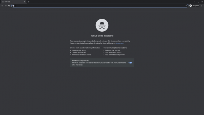 Zaslon za pokretanje anonimnog načina rada Google Chromium