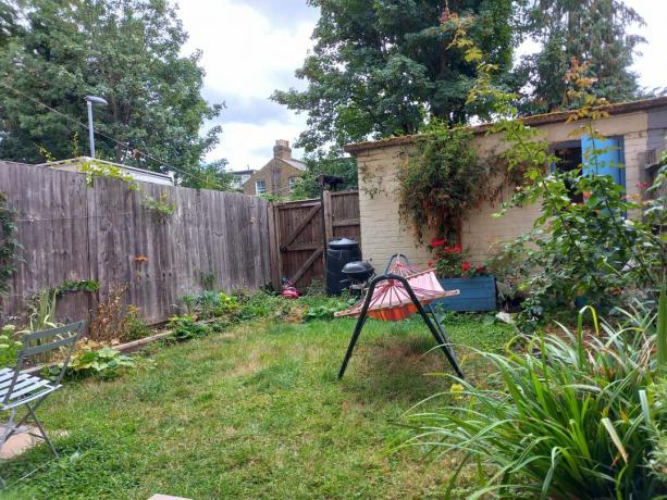 Samsung Galaxy M22 Foto im Garten hinter dem Haus mit Hauptkamera