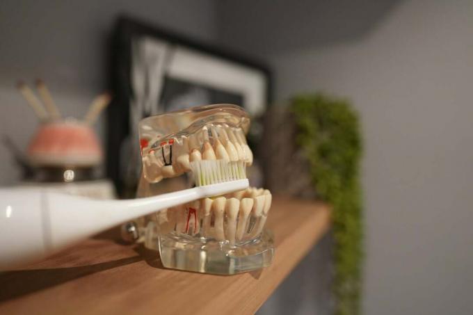 सिल्क'एन टूथवेव नकली दांतों की सफाई