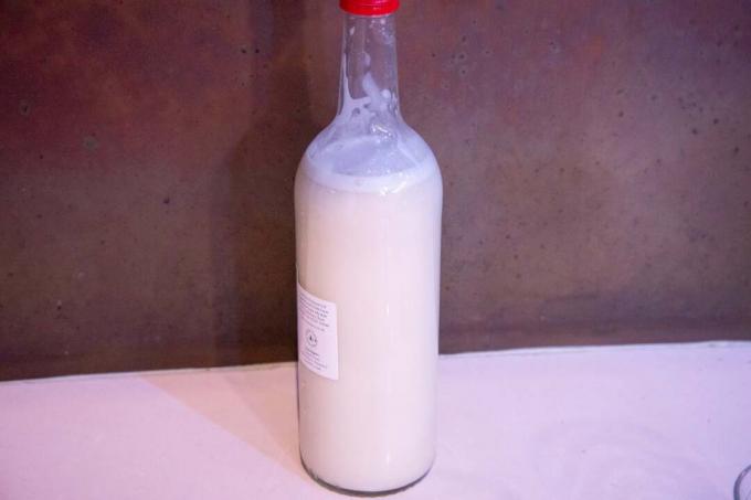 Salter Plant Milk Maker havremjölk