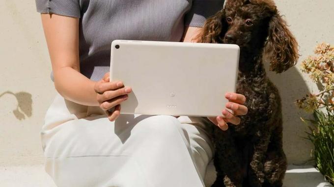 Google Pixel Tablet: tutto quello che devi sapere