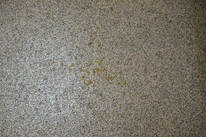Vacmaster D8 sylinteripölynimuri likainen kova lattia