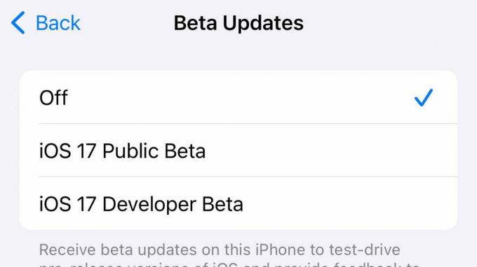 Izbornik Beta ažuriranja u iOS-u 17