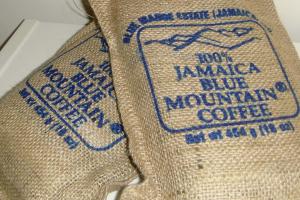 Como escolher os melhores grãos de café