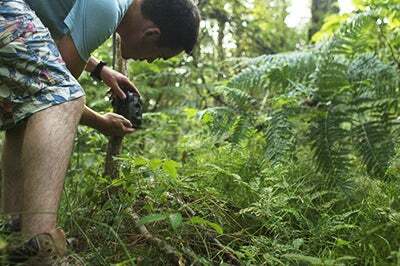 जंगली में ALDI मैगिनन वन्यजीव कैमरा