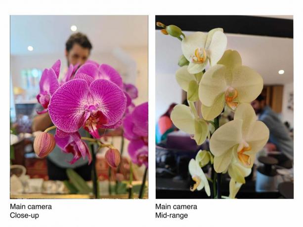 Exemples d'images de Xiaomi Mi 11 Ultra montrant la qualité de l'appareil photo
