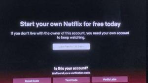 Netflix zasahuje do zdieľania hesiel a strana pozerania môže byť za nami