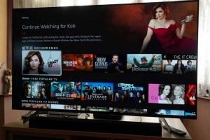 Netflix verwerft een andere gamestudio in Spry Fox