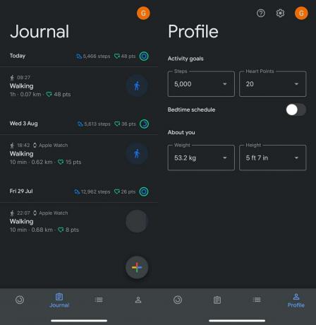 Aplikasi Google Fit di iPhone menampilkan jurnal