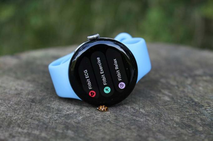 Fitbit-harjoituksen seuranta Pixel Watch 2:ssa
