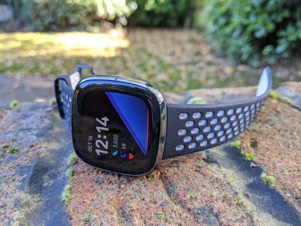 Fitbit Sense on pudonnut 239 puntaa pääpäivälle