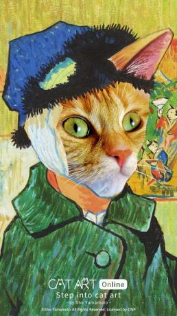 HTC kedi sanatı Instagram filtresi