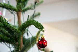 Ulasan Balsam Hill Nordmann Fir Twinkly: Pohon Natal Cerdas