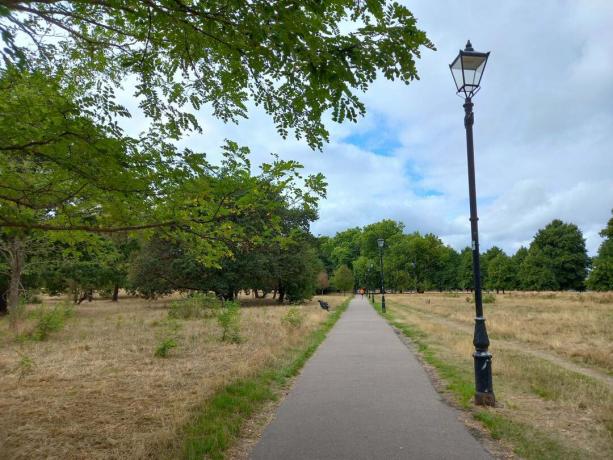 Samsung Galaxy M22 снимка на пътека в парка