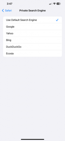 iOS 17 özel arama safarisi
